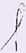 Lucia Argandona signature